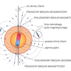 Igła magnetyczna kompasu: Jak działa i dlaczego jest kluczowa?