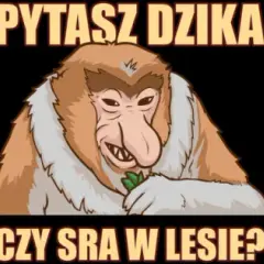 Śmieszna bluza pytasz dzika czy sra w lesie – styl i komfort w jednym